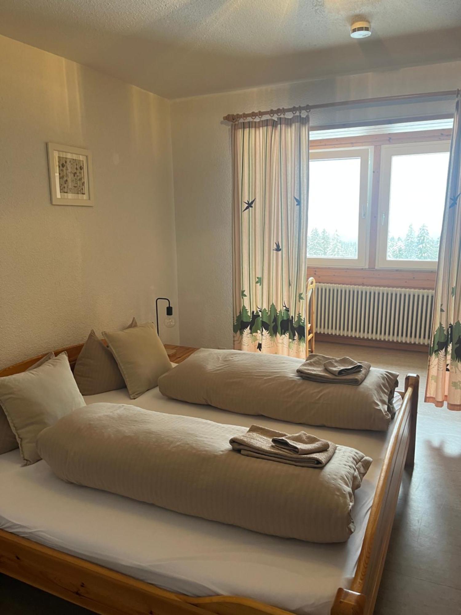 Berggasthof Zur Todtnauer Huette Feldberg  Ngoại thất bức ảnh