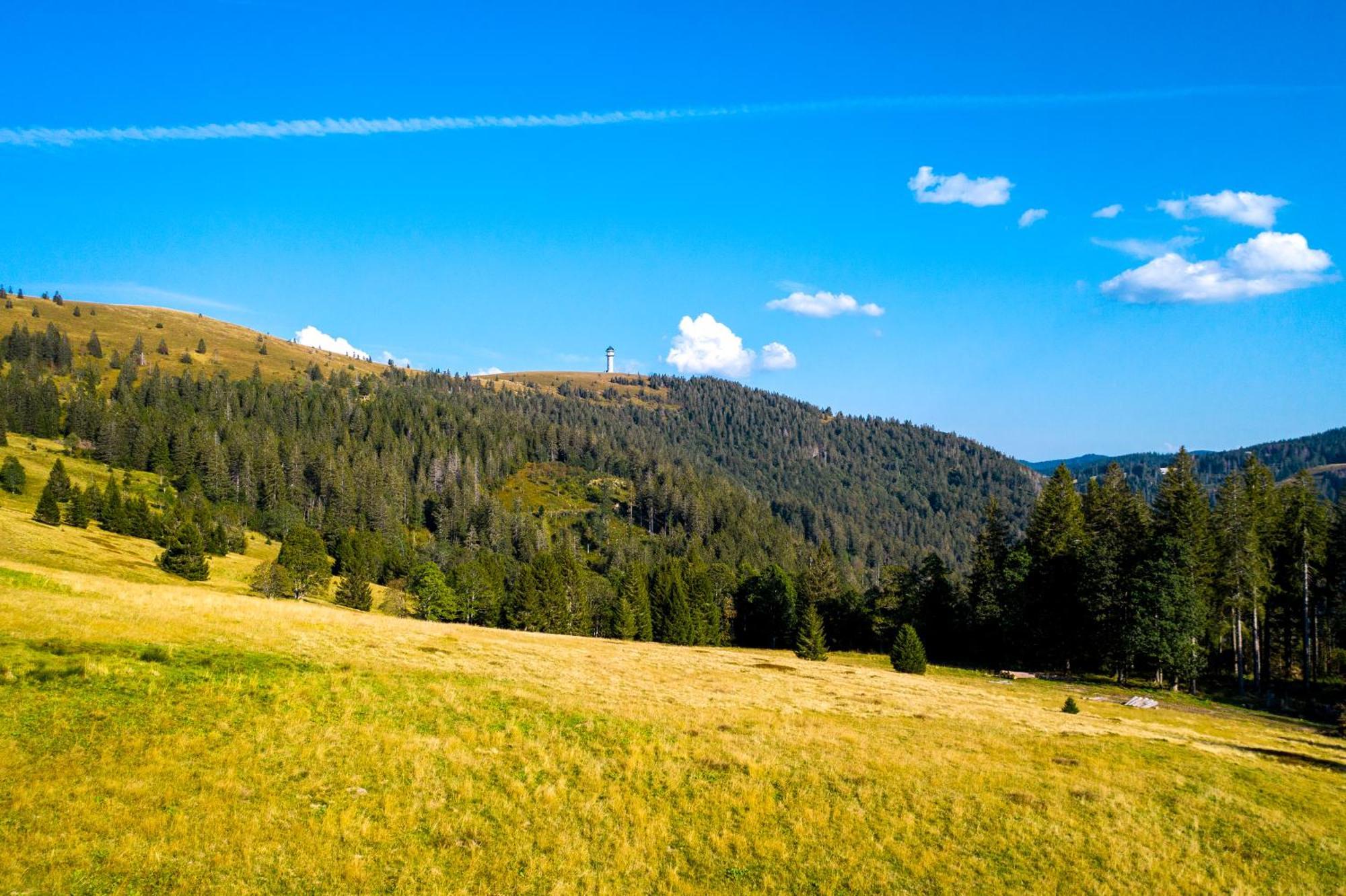 Berggasthof Zur Todtnauer Huette Feldberg  Ngoại thất bức ảnh